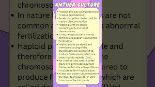 ANTHER CULTURE in 60 secs feedshorts biologyshorts factshorts biotechnology agriculture ptc [upl. by Juanita]