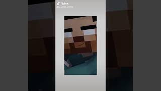 minecraft XDJAMES ME [upl. by Nagear]