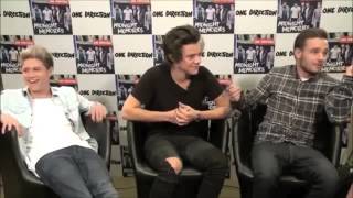 Niall amp Harry cant stop laughing at liam during interview HILARIOUS  Spain Madrid 2013 [upl. by Paehpos299]