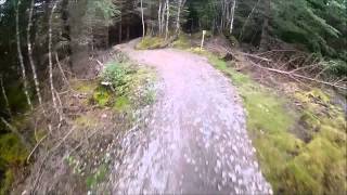 Nevis Range Blue Trail Downhill Section [upl. by Leviralc127]