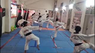 Taekwondo Poomsae 11 Taebaek WTF 2 [upl. by Onabru]