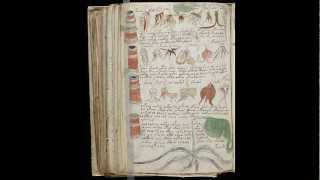 Voynich manuscript All pages scanned undeciphered language [upl. by Hartzell249]