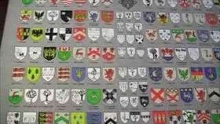 Irish Coats of Arms Crests Family Tartans Heraldry True or False [upl. by Lorianne743]