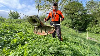 Stihl Fs 511C with durocut 404 trimmer head in big and thick grass [upl. by Melly]