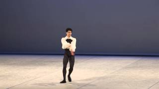 Adam Bernstein  2014 Selections  Classical variation [upl. by Netsyrc]