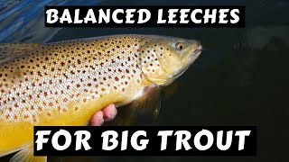 How to Use Balanced Leeches for Big Trout [upl. by Nywles]