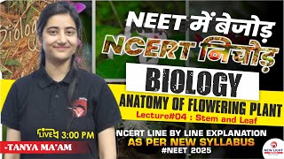 LIVE NEET 2025  BIOLOGY NCERT LINE BY LINE  ANATOMY OF FLOWERING PLANTS L04 newlightneet [upl. by Yreneh]