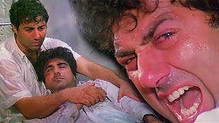 Balwant Rai ने मेरे भाई को मारके फेंक डाला Sunny Deol Action  Ghayal  Raj Babbar Movie Scene [upl. by Akem458]