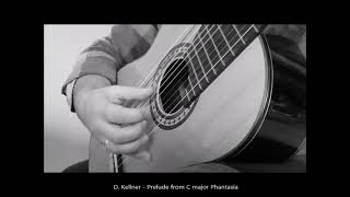 11 string guitar  d minor tuning  prelude in C  D Kellner [upl. by Bonnee]