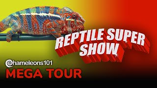 2022 Pomona CA Reptile Super Show Mega Tour By Chameleons101com [upl. by Sllew]