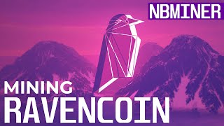 How To Mine Ravencoin  Ravencoin mining with NBminer [upl. by Ohare]