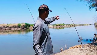 Here’s How I Catch Catfish In The California Delta Mendota Canal [upl. by Enrak]