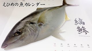 えひめの魚カレンダー（スペシャル版） 佐川印刷 [upl. by Lorrie]