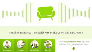 Proteinbiosynthese – Der Vergleich von Prokaryoten und Eukaryoten [upl. by Marinna]