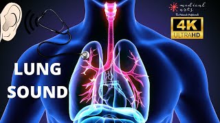 Normal Breathing Sound Effect  3D Lungs Physiology 4k [upl. by Vladimar]